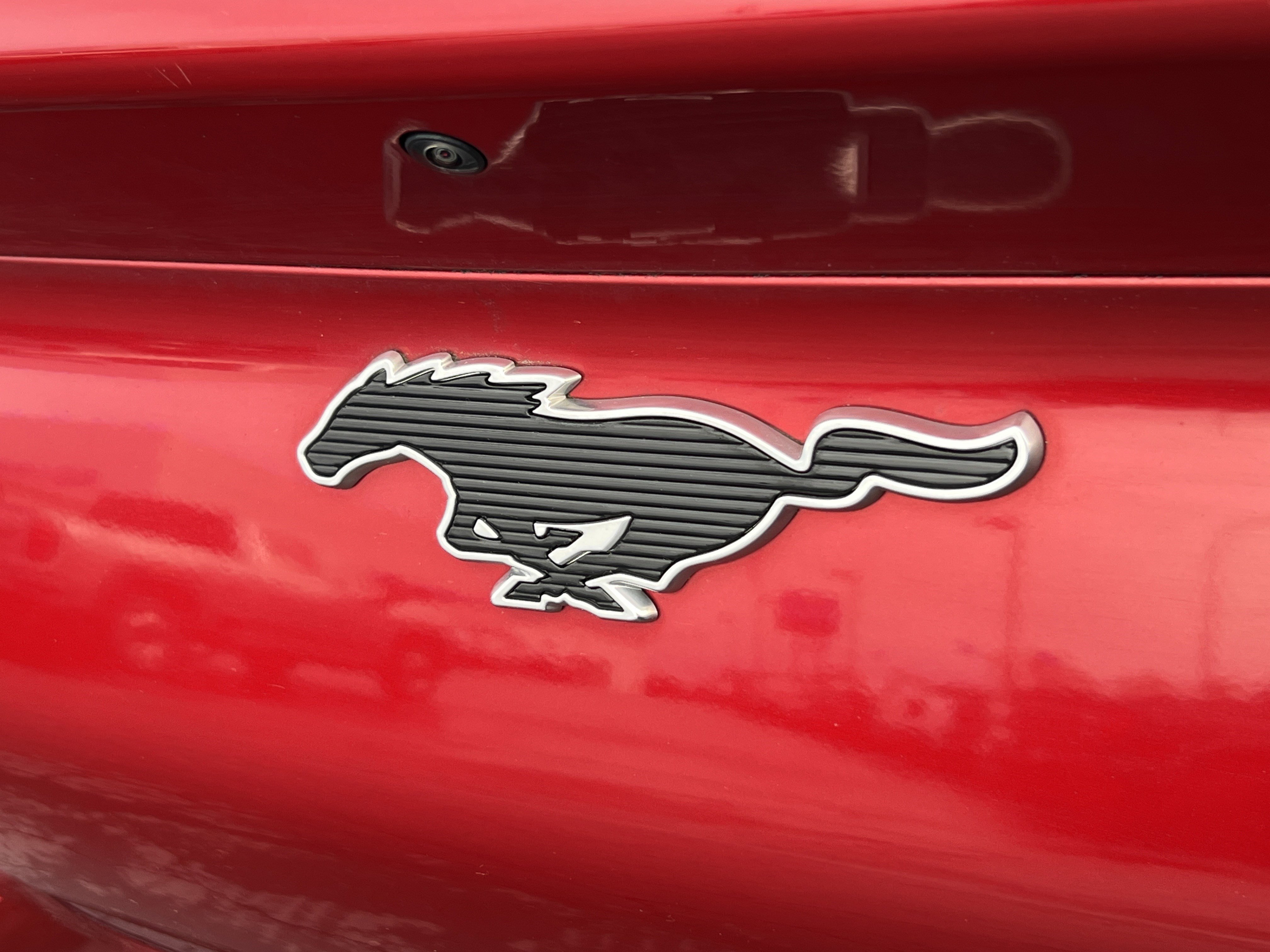 Used 2021 Ford Mustang Mach-E California Route 1 image 8