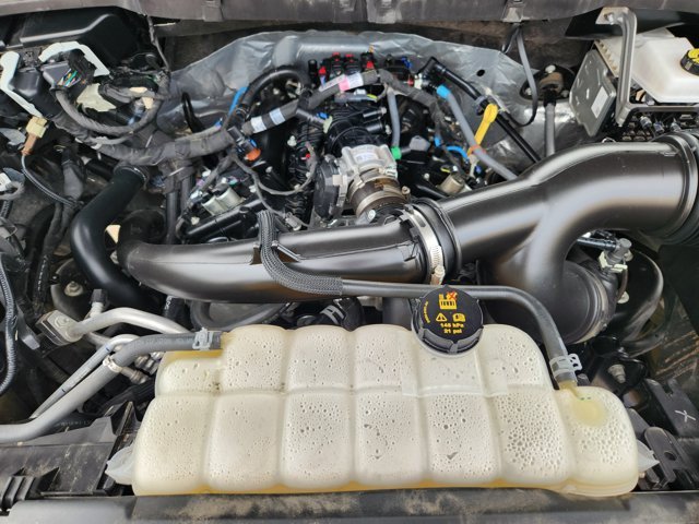 Certified 2025 Ford F150 STX w/ Equipment Group 200A RWD image 32