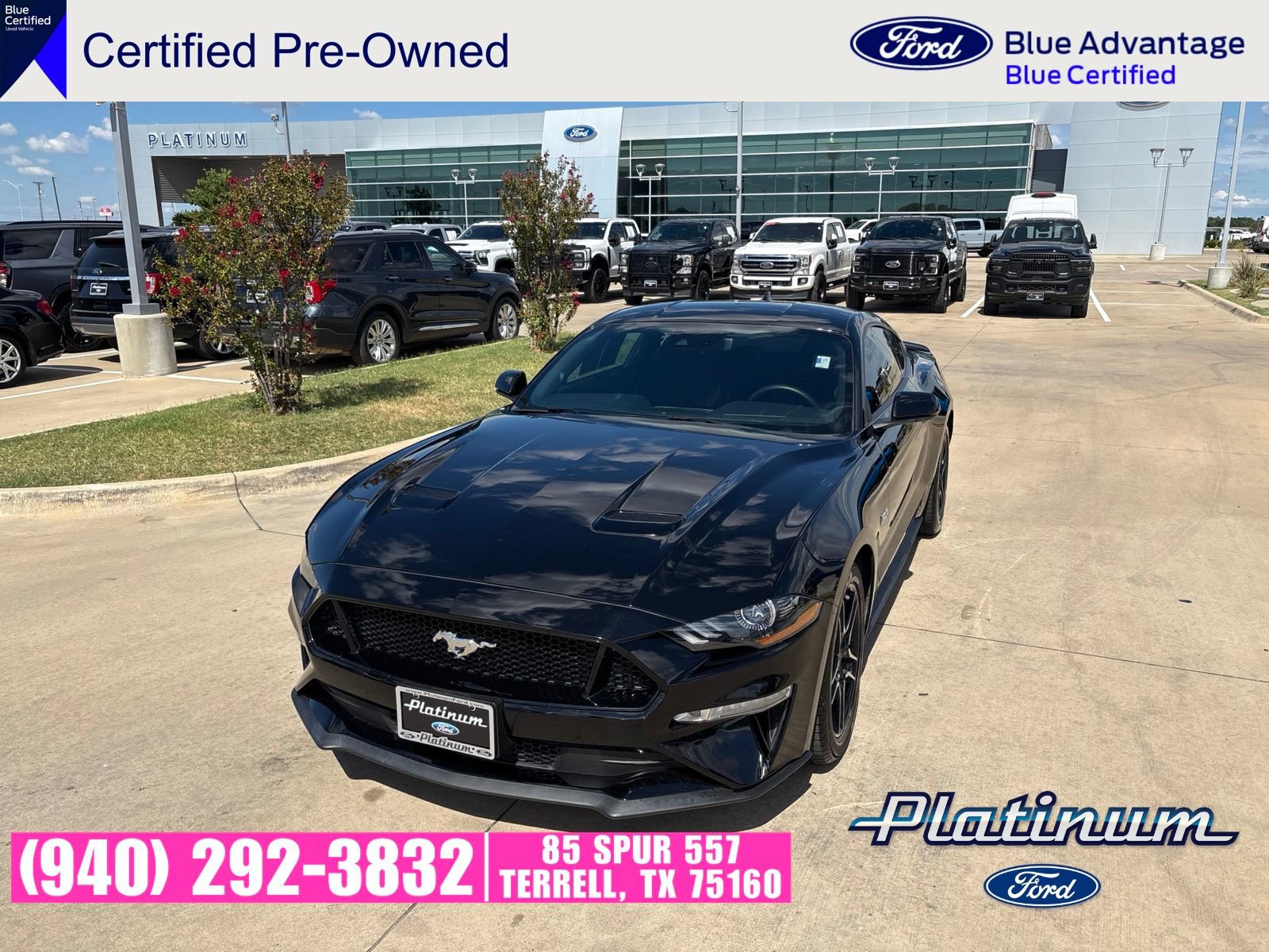 Used 2022 Ford Mustang GT w/ Equipment Group 301A