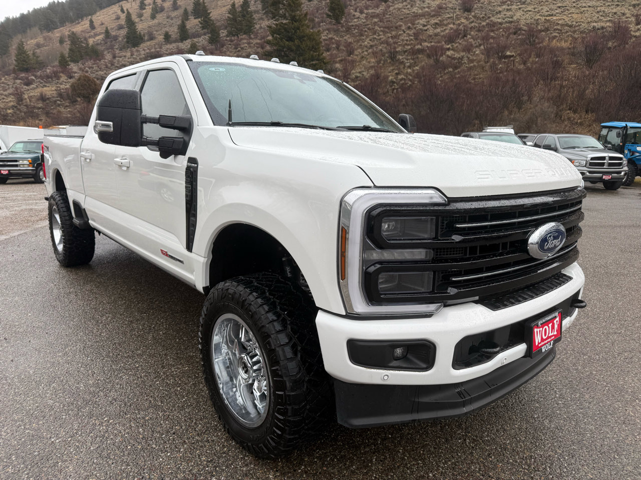Used 2025 Ford F250 Platinum image 7