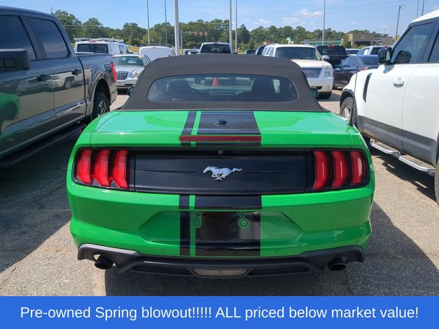 Used 2019 Ford Mustang Premium w/ Ecoboost Performance Package RWD image 3