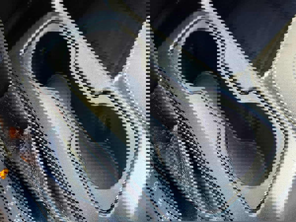 Used 2019 Chevrolet Colorado W/T w/ Custom Special Edition image 40