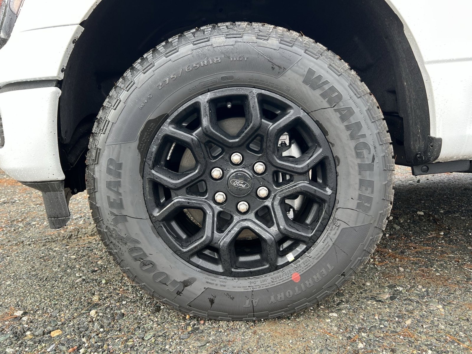 New 2025 Ford F150 XLT w/ Equipment Group 302A MID image 12