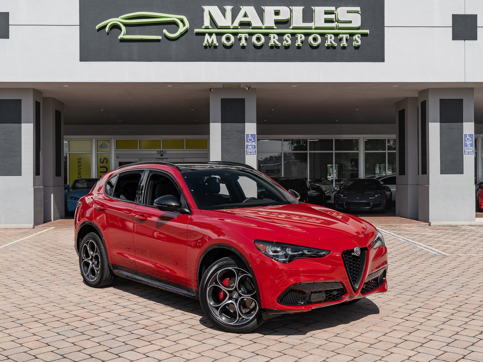 New 2024 Alfa Romeo Stelvio Veloce image 14