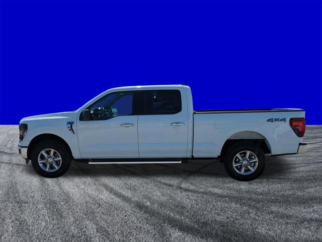 Certified 2025 Ford F150 XLT w/ Equipment Group 301A Standard image 7