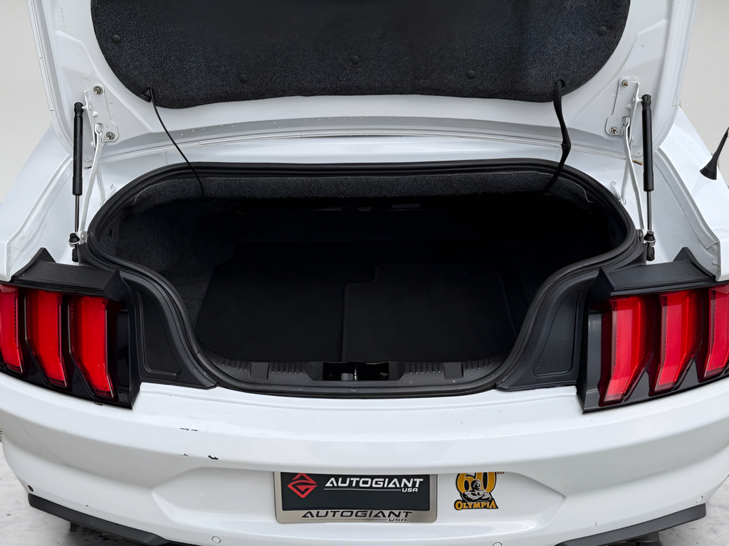 Used 2019 Ford Mustang Premium RWD image 20