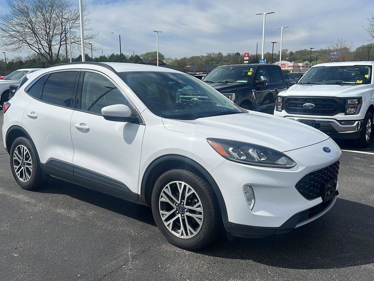 Used 2020 Ford Escape SEL AWD/4WD image 2