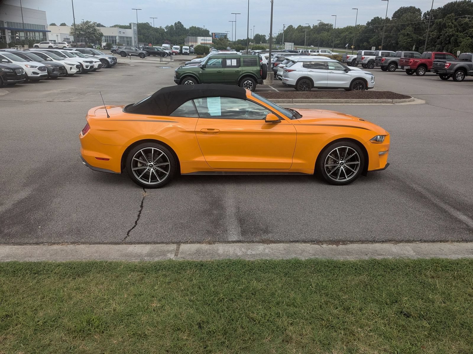 Used 2019 Ford Mustang Premium w/ Equipment Group 201A RWD image 2