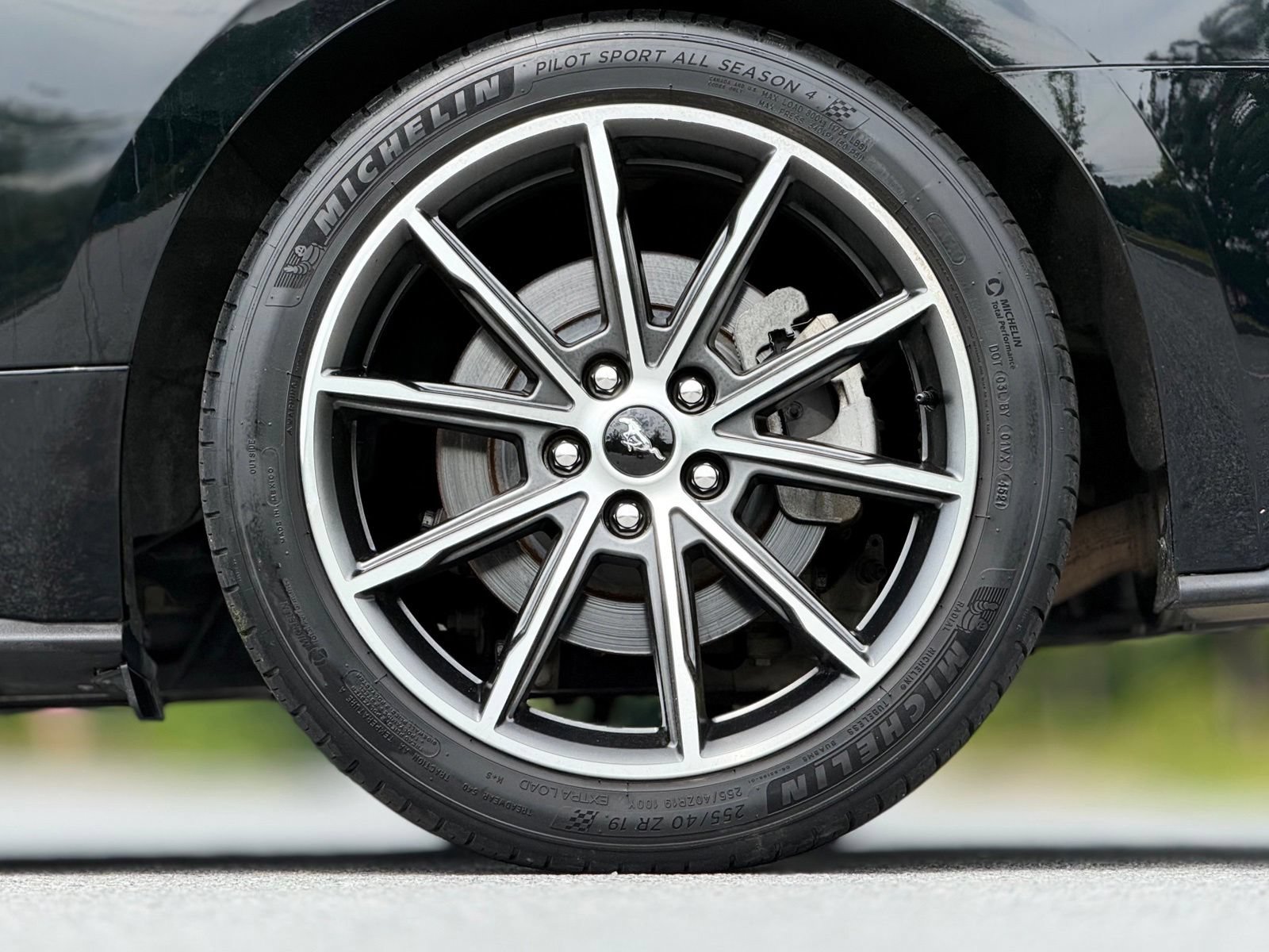 Used 2019 Ford Mustang Premium w/ Equipment Group 201A RWD image 19