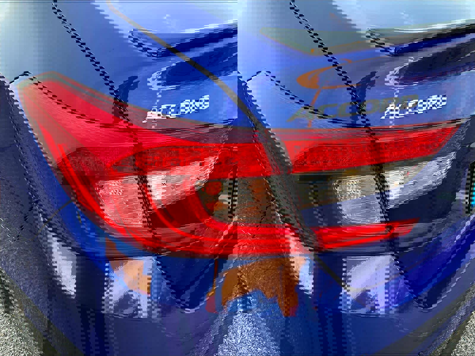 Used 2022 Honda Accord Sport image 44