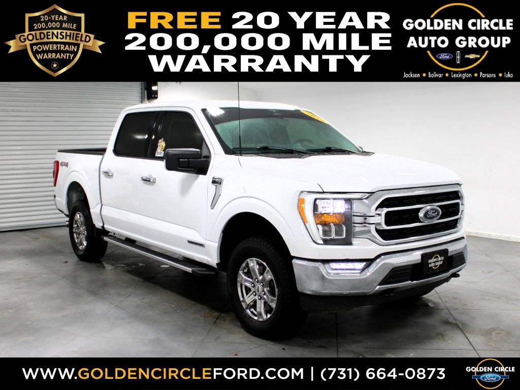 Used 2023 Ford F150 XLT w/ Equipment Group 302A High