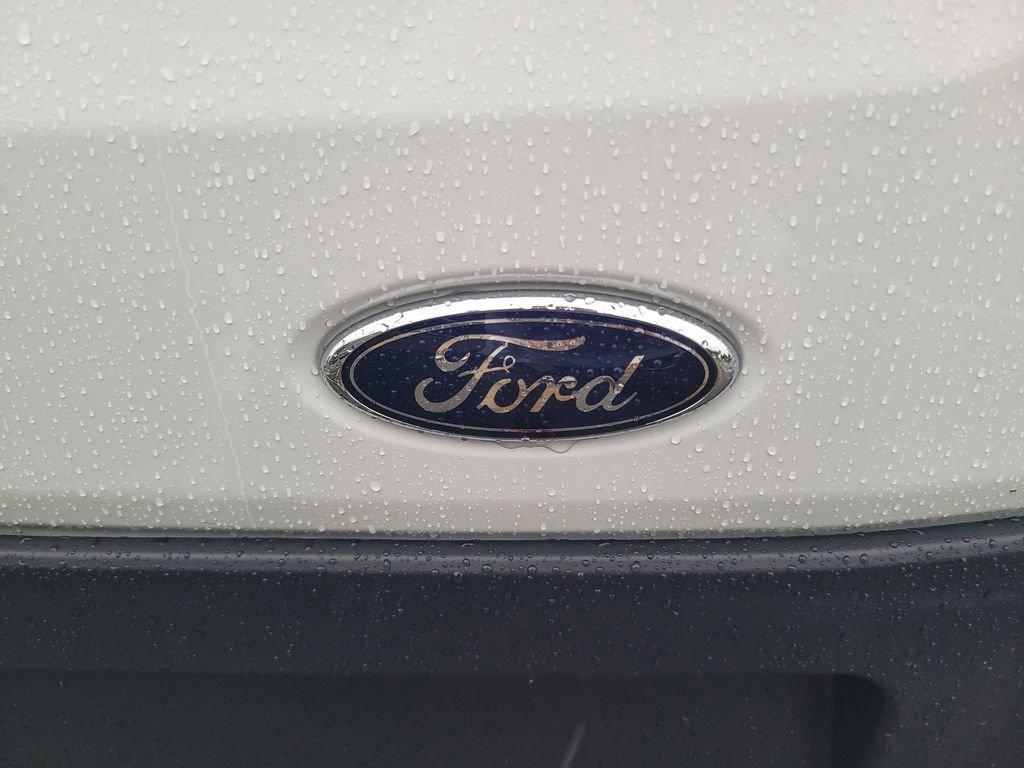 New 2025 Ford Transit 250 148 Medium Roof w/ Load Area Protection Package image 26