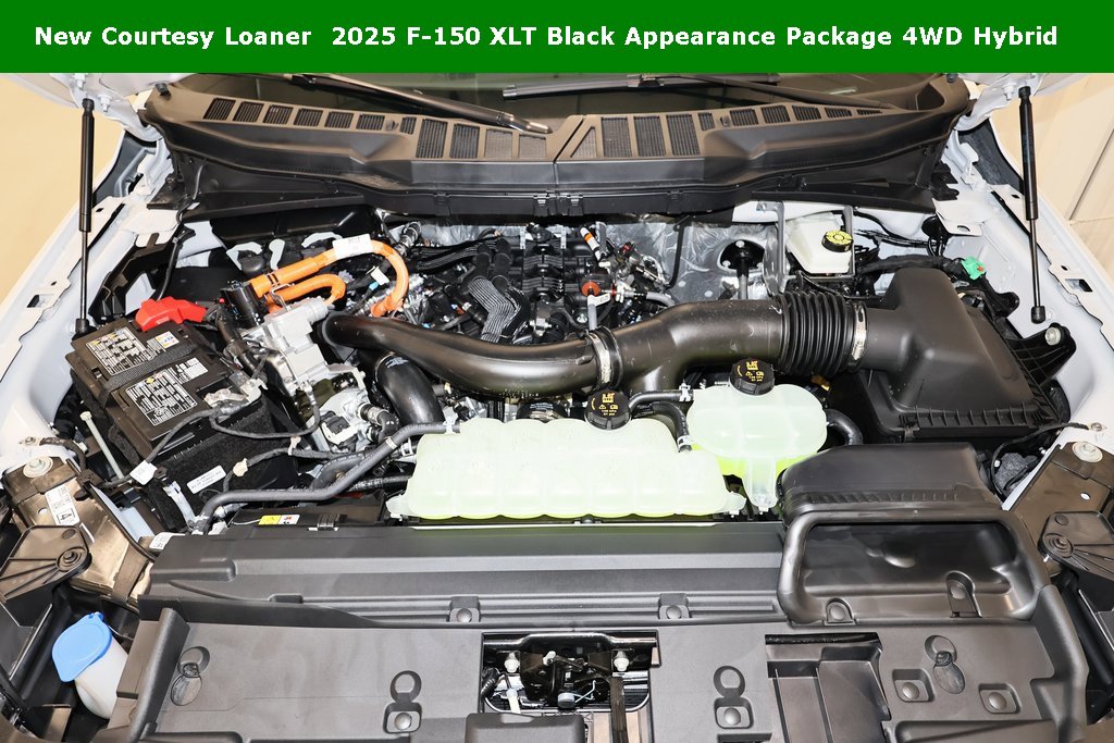 New 2025 Ford F150 XLT w/ Equipment Group 302A MID image 32