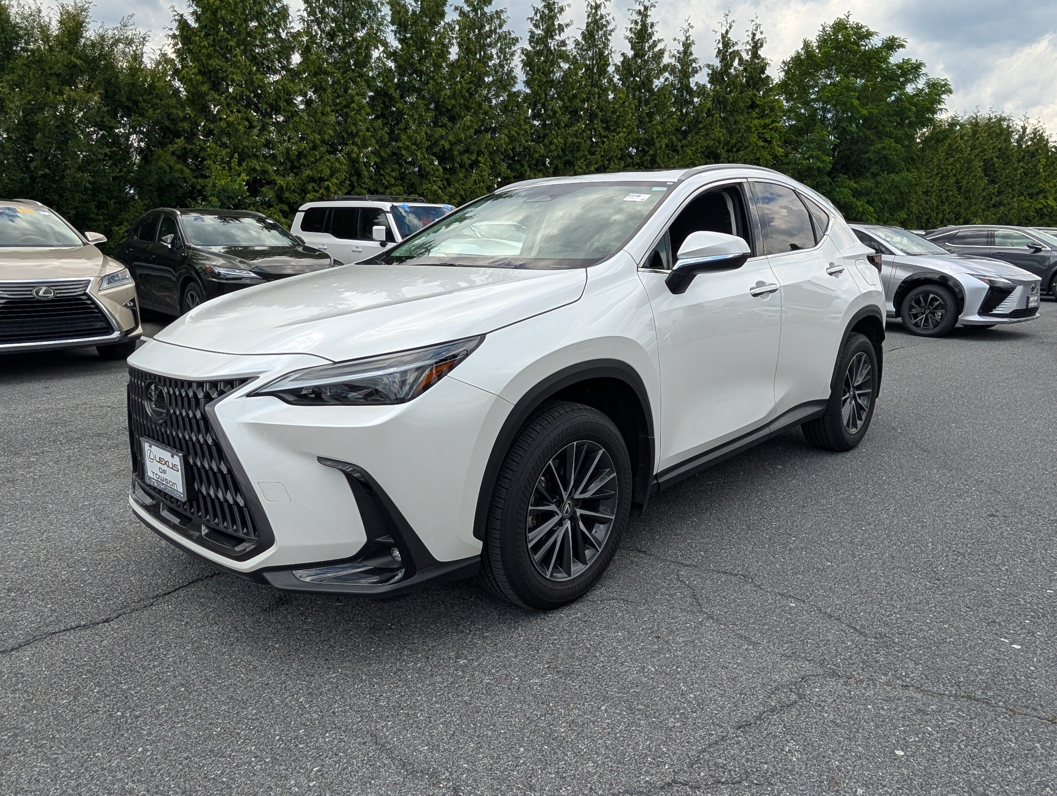 Certified 2024 Lexus NX 350 AWD w/ Cold Area Package image 7
