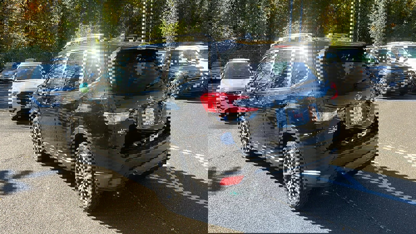 Certified 2022 Subaru Forester Limited image 5