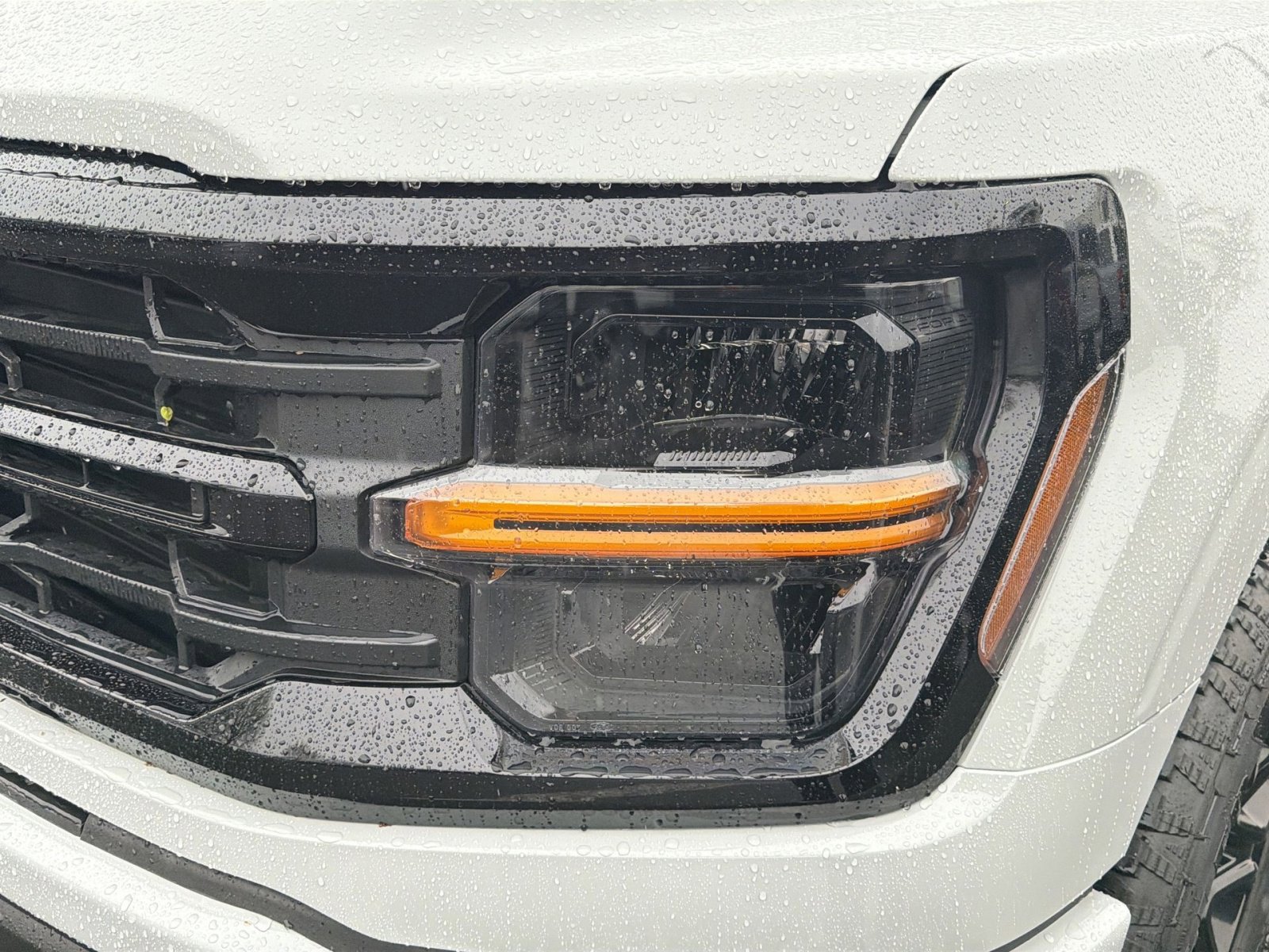 New 2026 Ford F150 XLT w/ Equipment Group 302A MID image 13