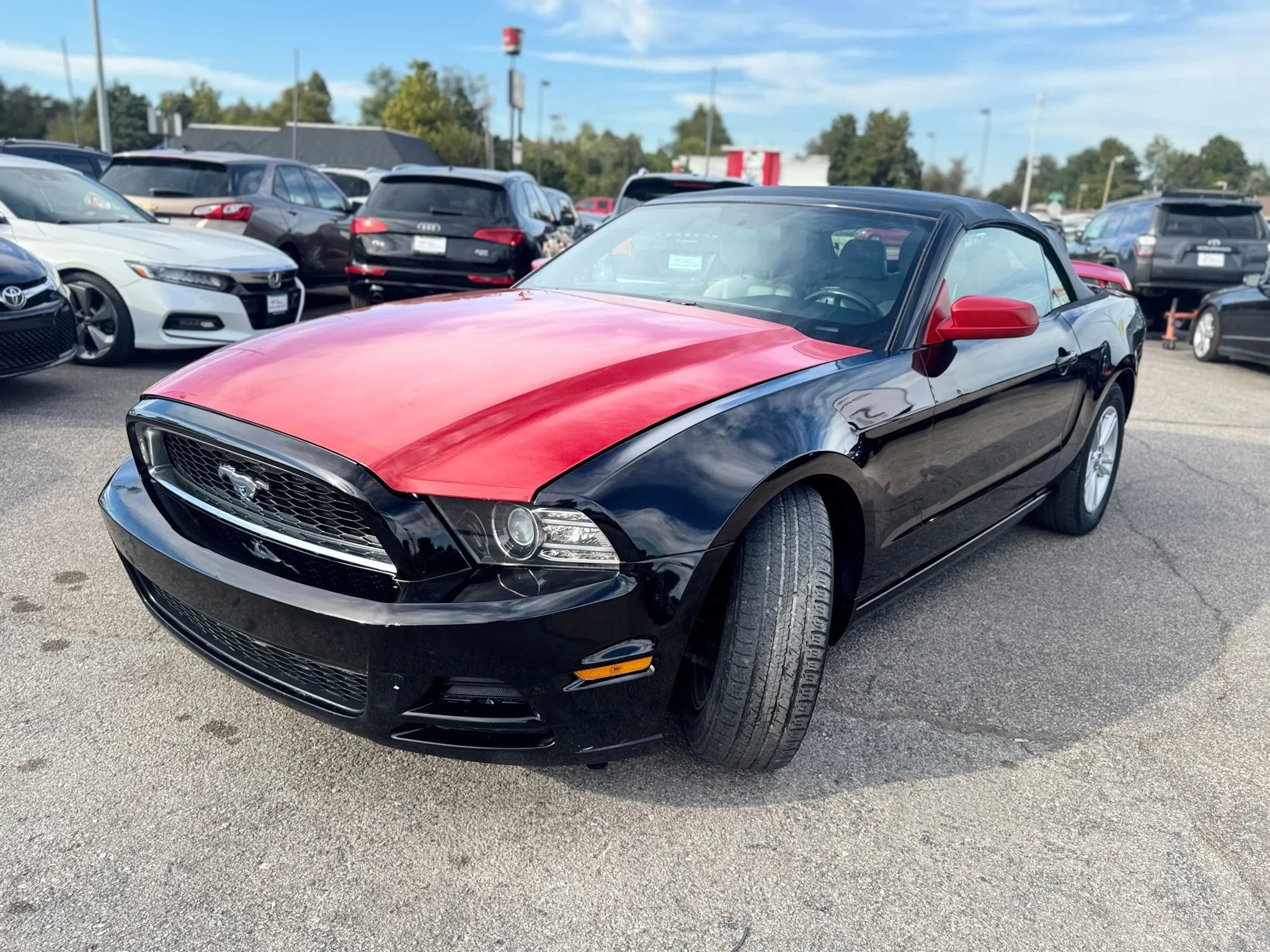 Used 2014 Ford Mustang V6 Convertible 2D image 7