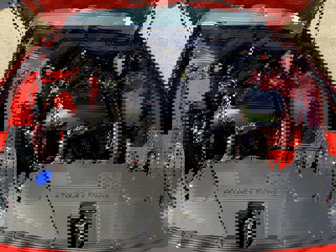 New 2025 Ford Mustang Coupe image 45