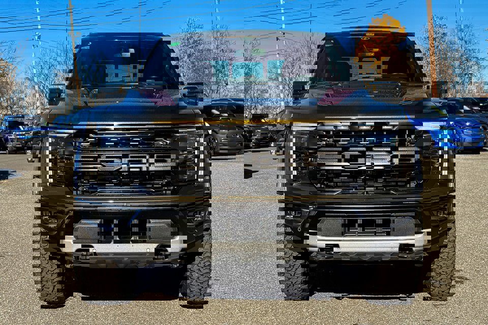 New 2025 Ford F150 Raptor image 8