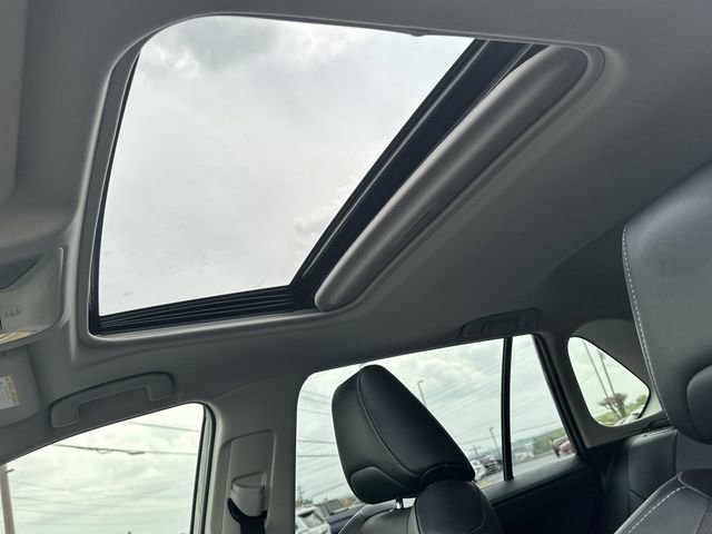 Certified 2019 Toyota RAV4 Limited image 20