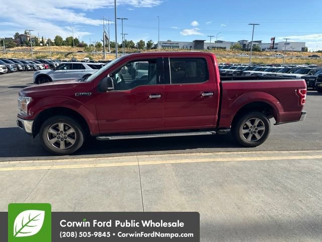 Used 2019 Ford F150 XLT w/ Equipment Group 302A Luxury RWD image 4