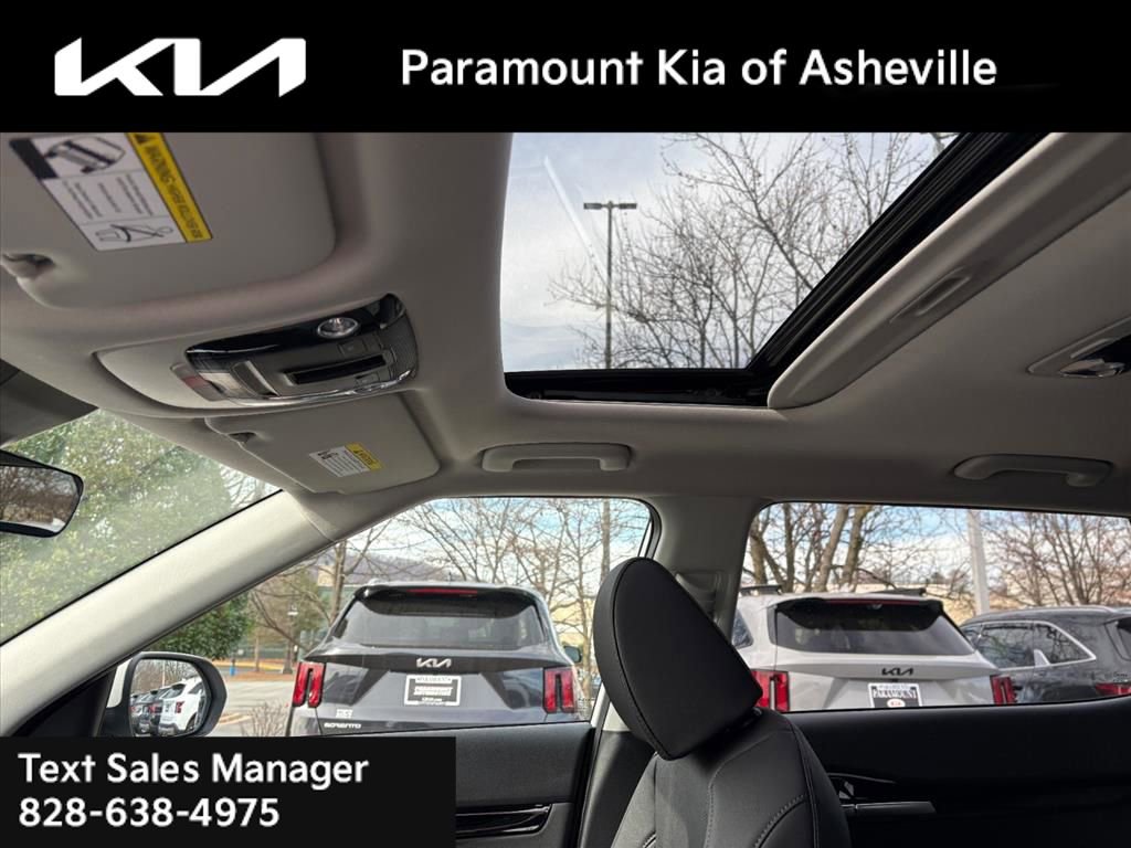 New 2026 Kia Seltos SX image 13