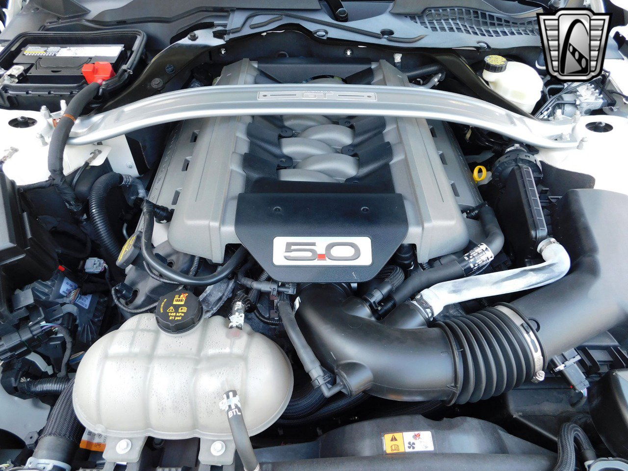 Used 2015 Ford Mustang 50 Years image 18