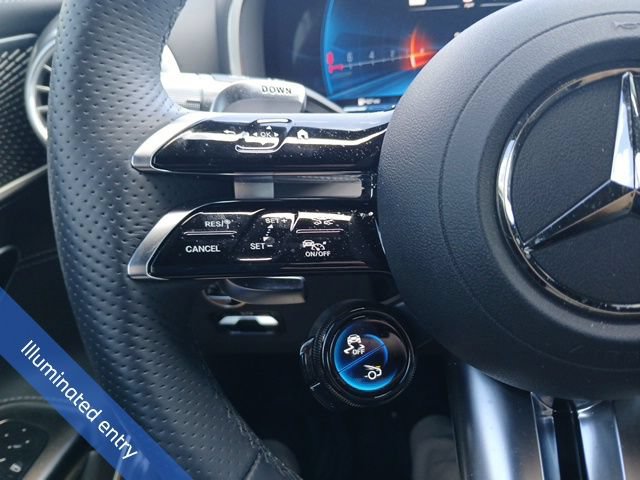Used 2024 Mercedes-Benz AMG GT 55 image 19