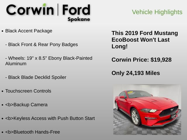 Used 2019 Ford Mustang Coupe w/ Equipment Group 101A image 12