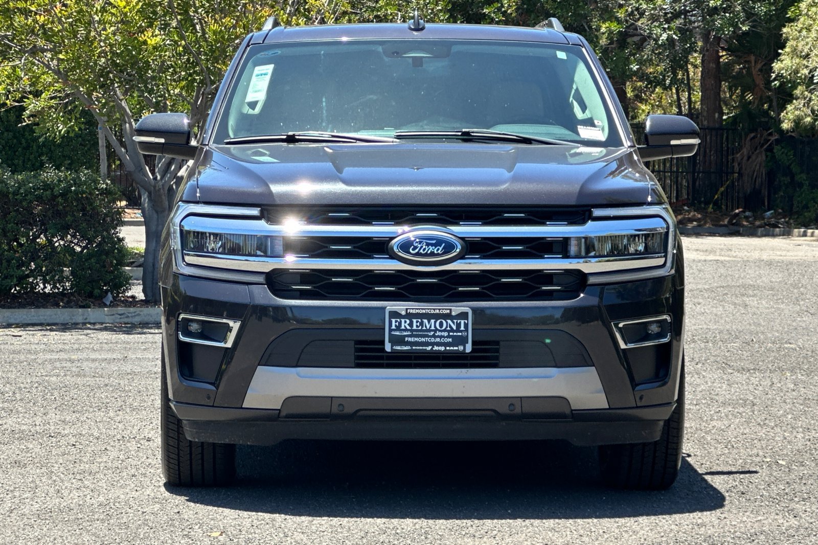 Used 2024 Ford Expedition Limited RWD image 8