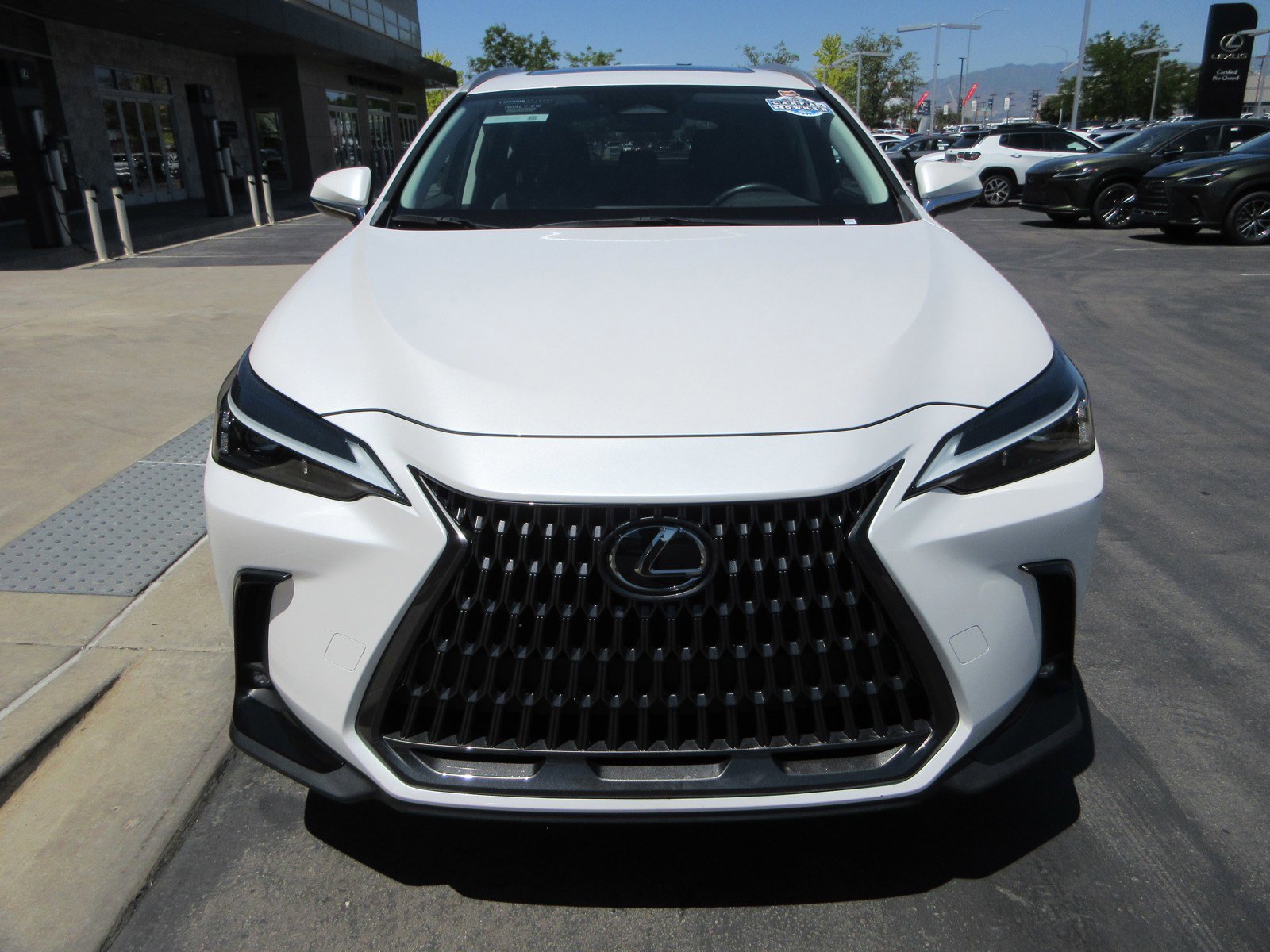 Used 2024 Lexus NX 350 AWD w/ Cold Area Package image 14