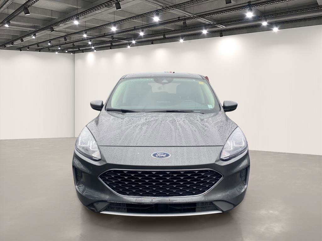 Used 2020 Ford Escape SE AWD/4WD image 2