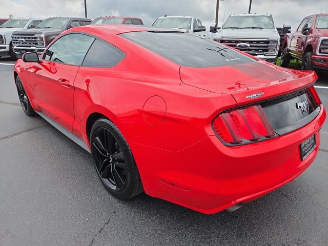 Used 2017 Ford Mustang Coupe w/ Ecoboost Performance Package RWD image 4