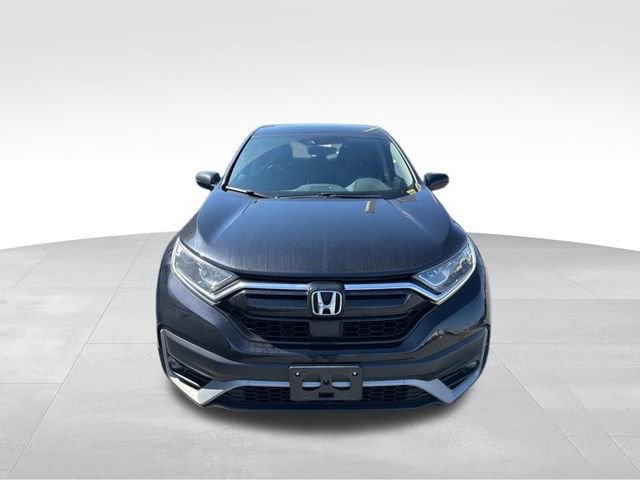 Used 2020 Honda CR-V EX-L image 3