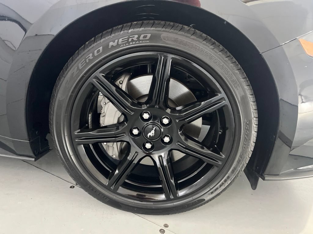 Used 2019 Ford Mustang GT w/ Equipment Group 301A RWD image 17
