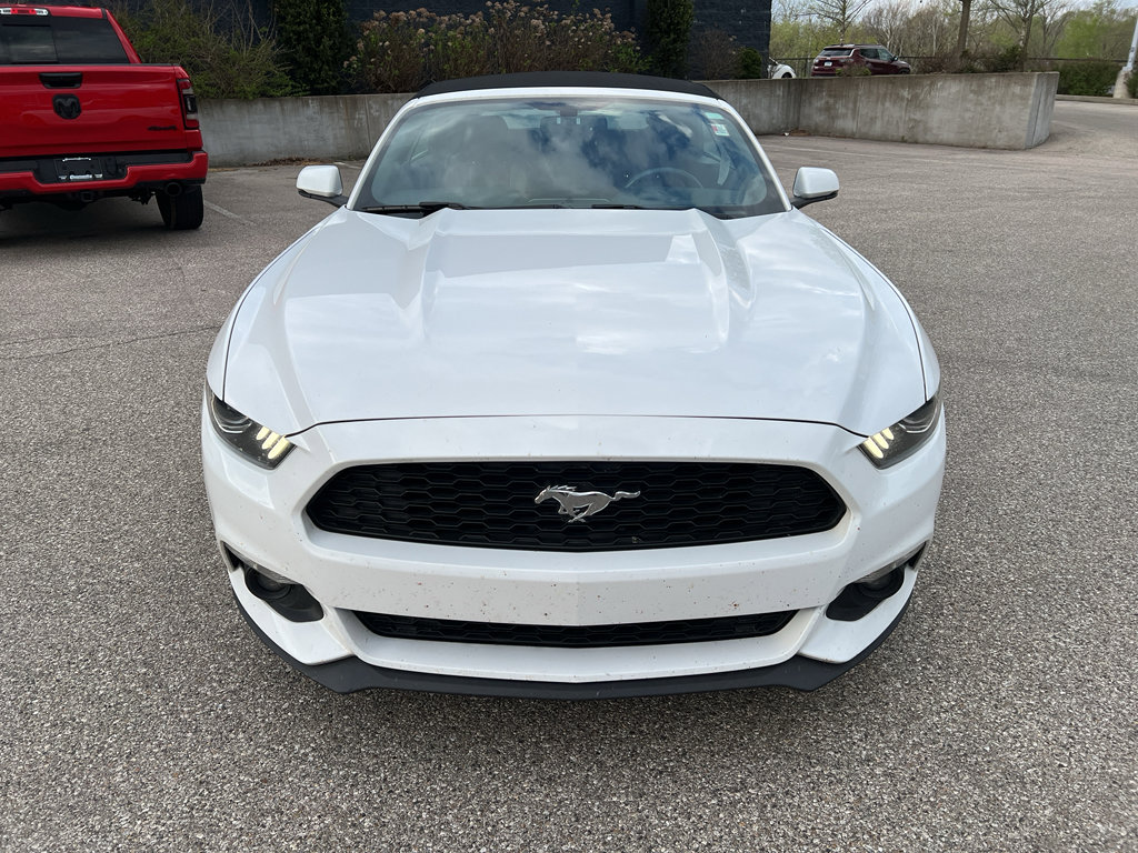 Used 2016 Ford Mustang Premium image 2
