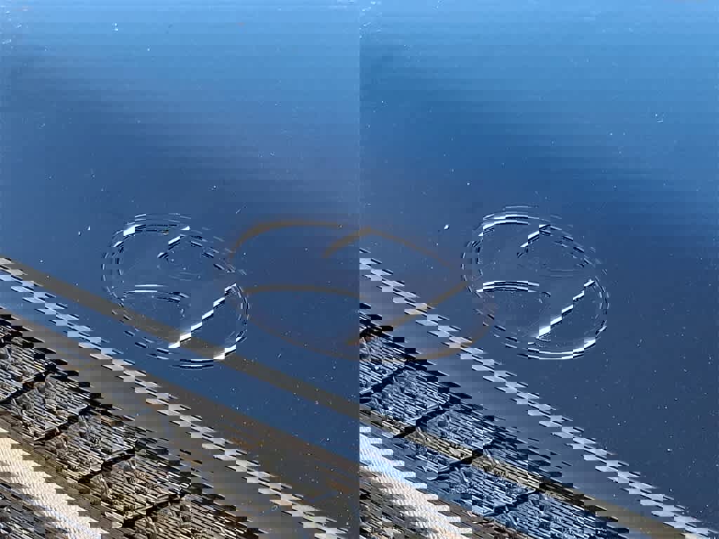 Used 2025 Hyundai Santa Fe Calligraphy image 32