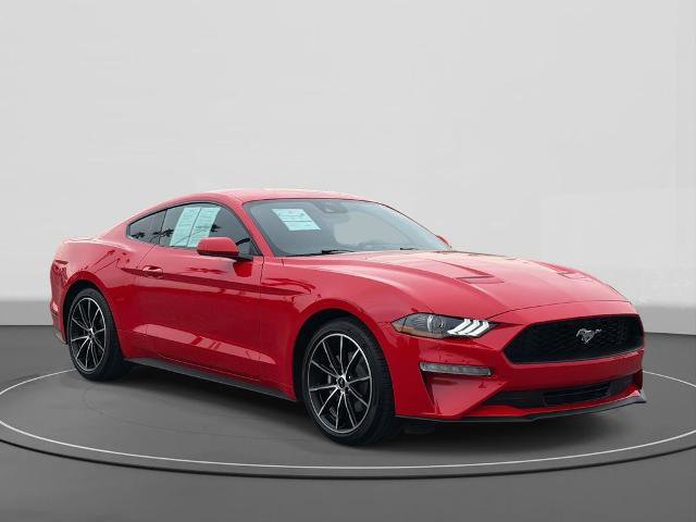 Certified 2022 Ford Mustang EcoBoost image 4