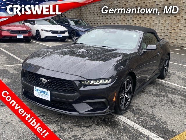 Used 2024 Ford Mustang Premium image 1