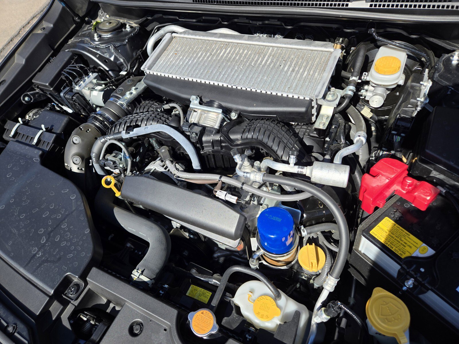 Used 2022 Subaru WRX Premium image 16