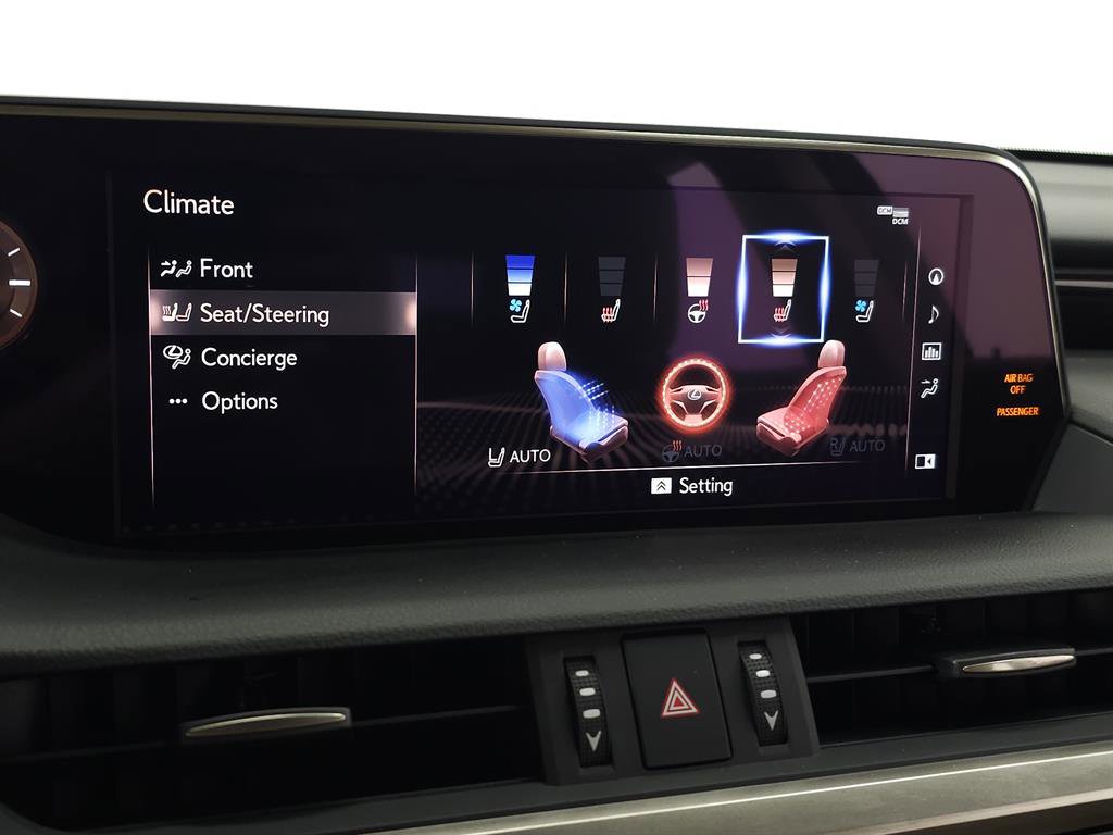 Certified 2021 Lexus ES 250 w/ Premium Package image 23