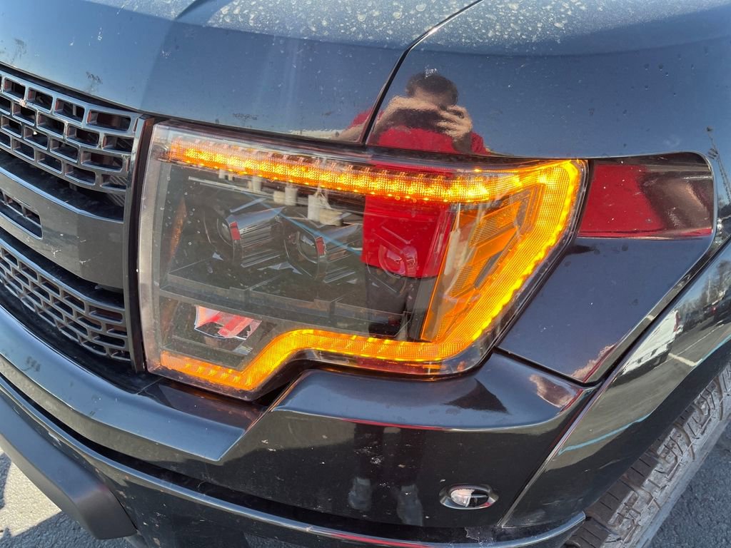 Used 2010 Ford F150 Raptor image 13