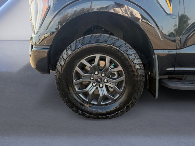 Used 2023 Ford F150 Tremor AWD/4WD image 14