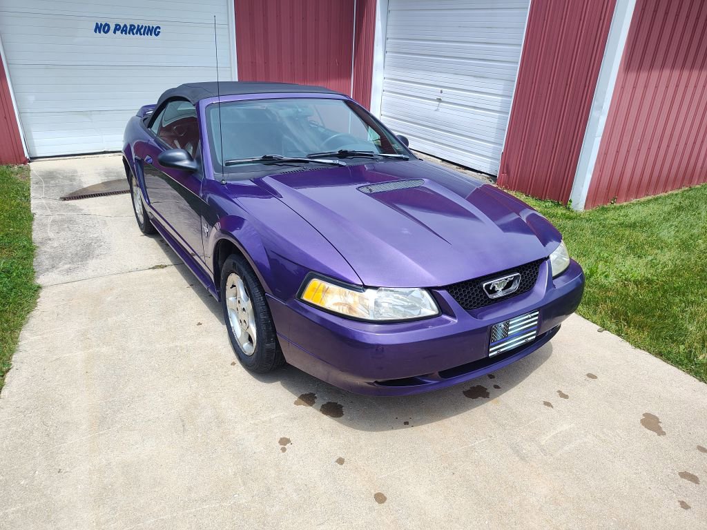 Used 2000 Ford Mustang Convertible RWD image 4