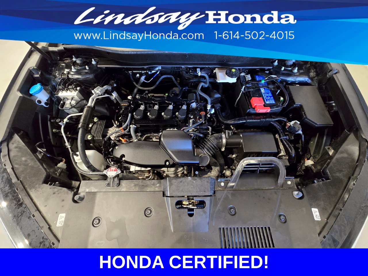Certified 2024 Honda CR-V EX-L image 25