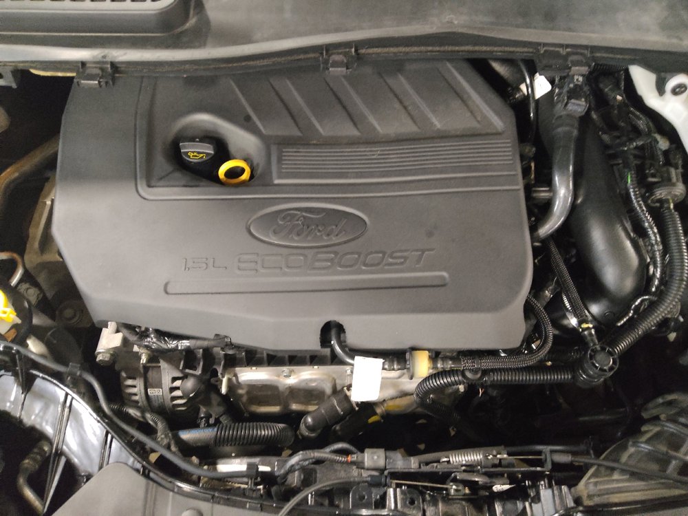 Used 2019 Ford Escape SE FWD image 30