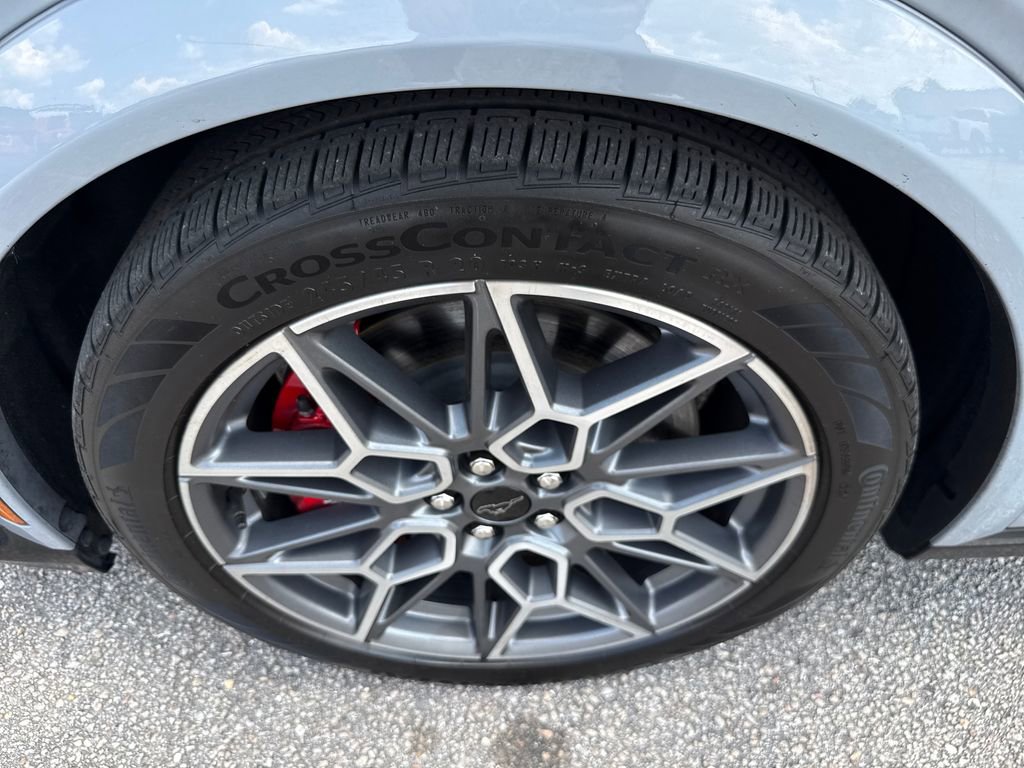 Used 2024 Ford Mustang Mach-E GT AWD/4WD image 12