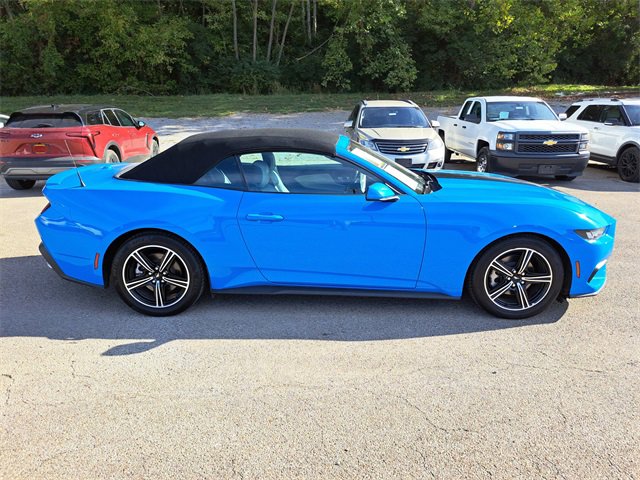 Used 2024 Ford Mustang Premium image 6