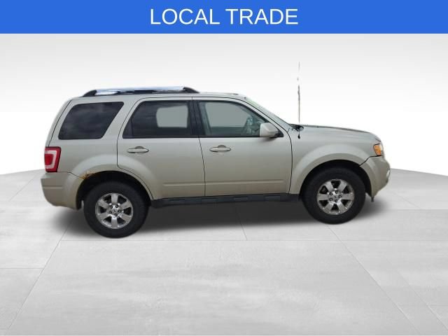 Used 2011 Ford Escape Limited w/ 302A Rapid Spec Order Code AWD/4WD image 6