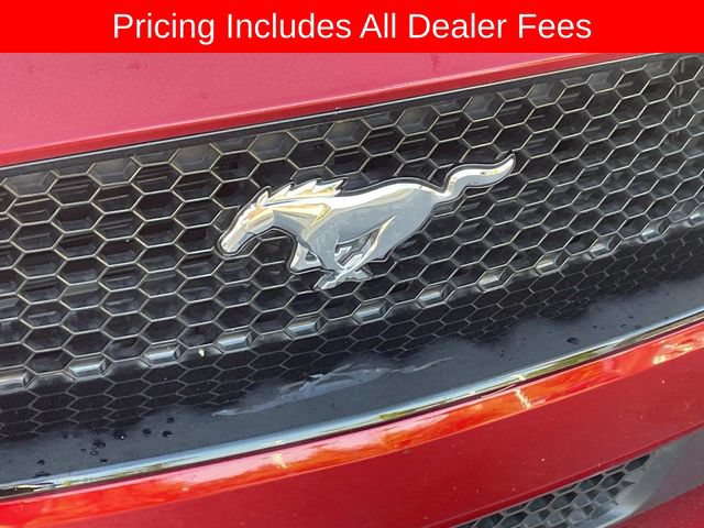 Used 2022 Ford Mustang GT Premium w/ Equipment Group 401A RWD image 13